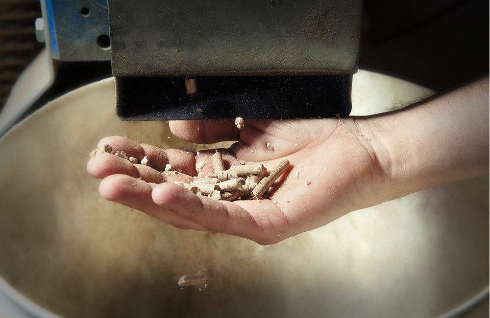 Ecologia, economia e praticità del pellet